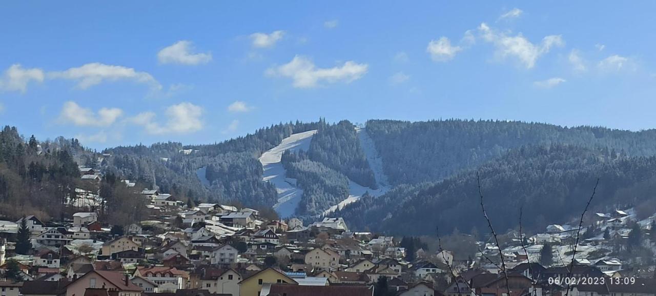 Charmant Chalet, Spacieux, Proche Du Lac, Vue Sur La Montagne Gerardmer Luaran gambar