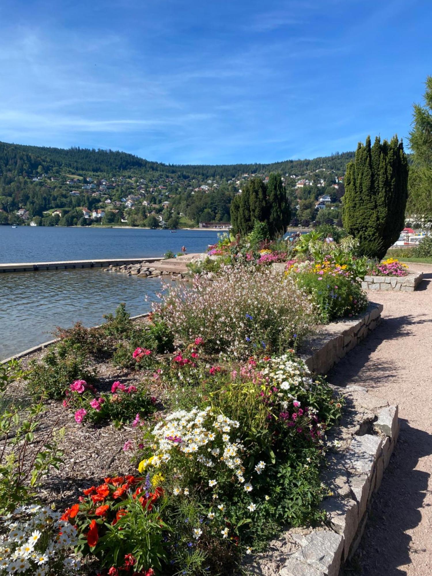 Charmant Chalet, Spacieux, Proche Du Lac, Vue Sur La Montagne Gerardmer Luaran gambar